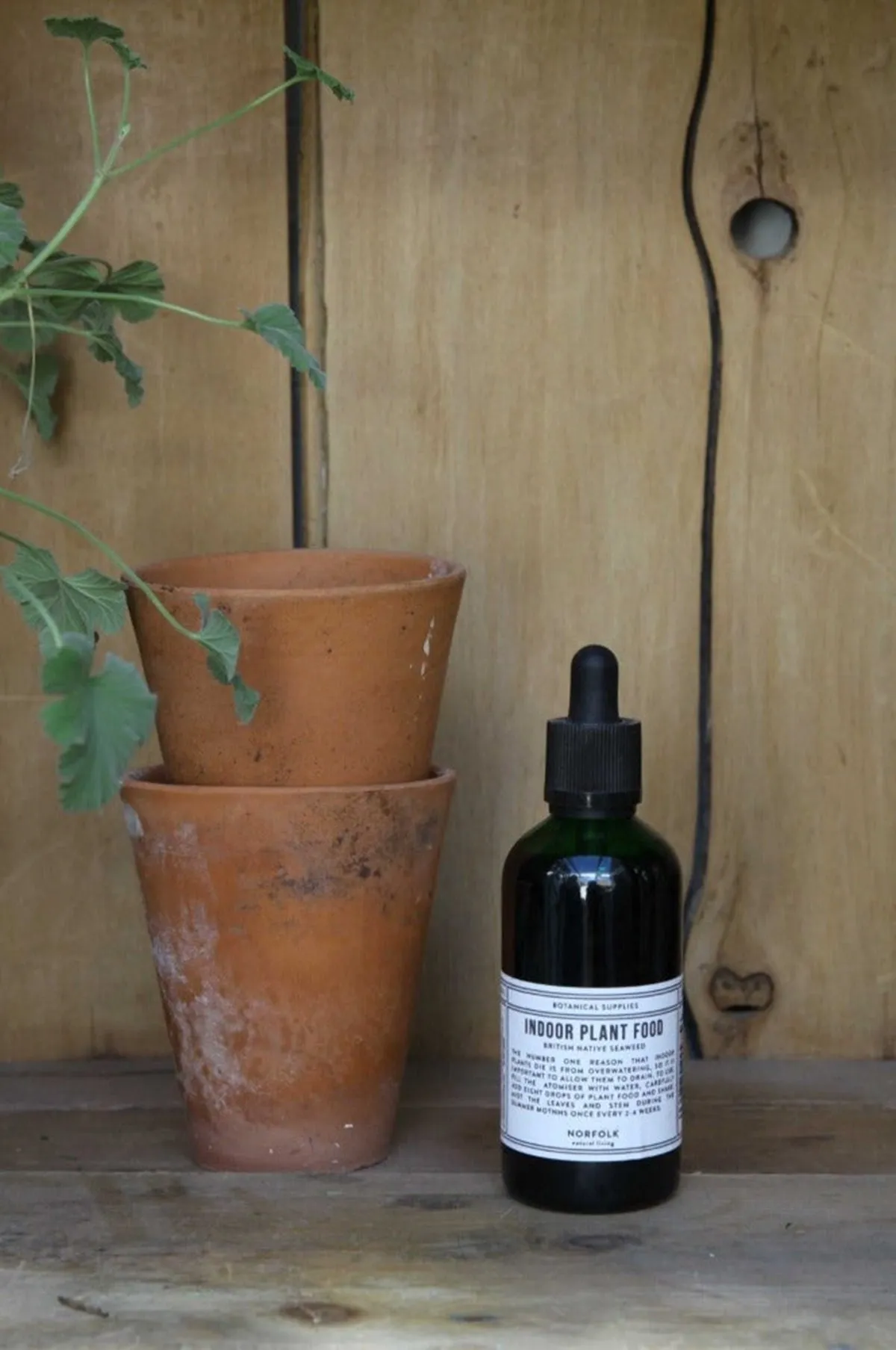 Indoor plant Food 100ml