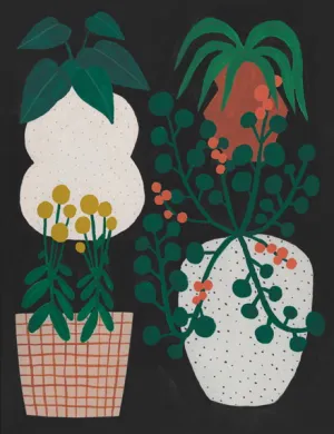 Indoor Plants General Card